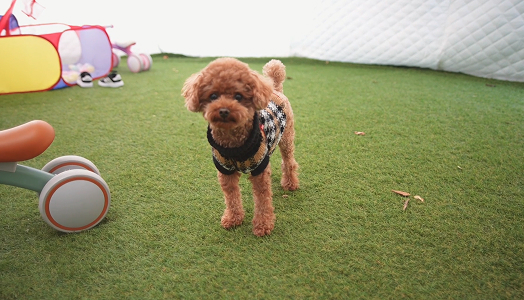 写真：ホビースペースイメージ2